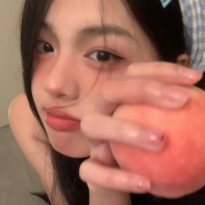 菊与断头台